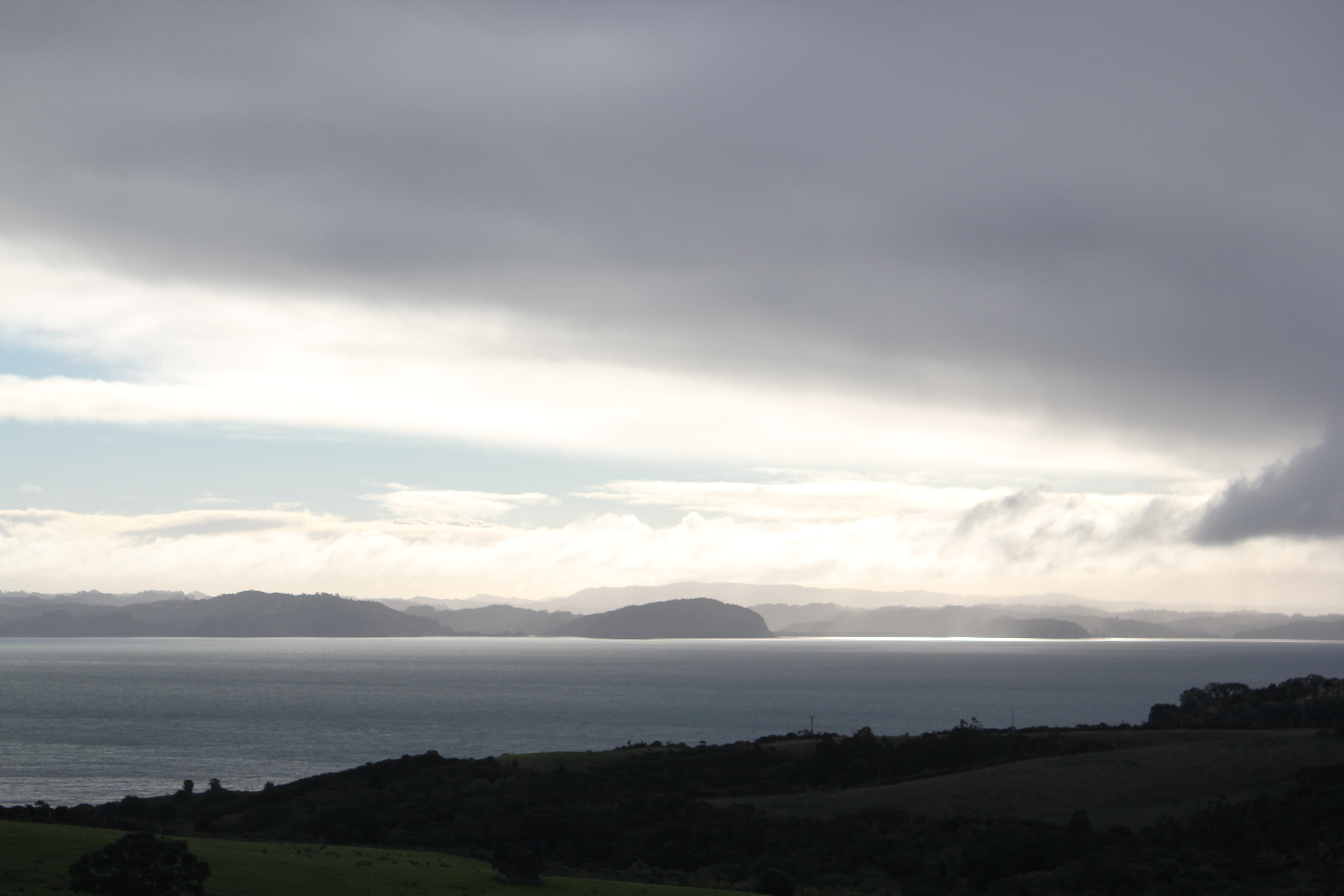 Featured image of post Using an AI Agent to Code